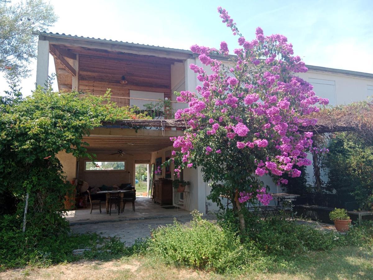 Domaine Limouzy Villa Narbonne Kültér fotó