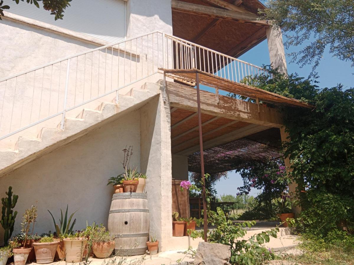 Domaine Limouzy Villa Narbonne Kültér fotó