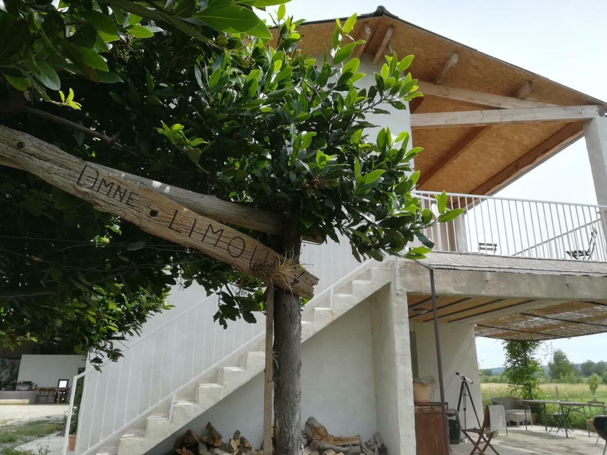 Domaine Limouzy Villa Narbonne Kültér fotó