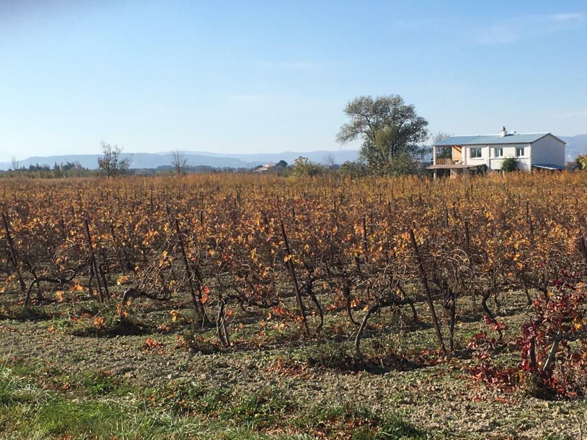 Domaine Limouzy Villa Narbonne Kültér fotó