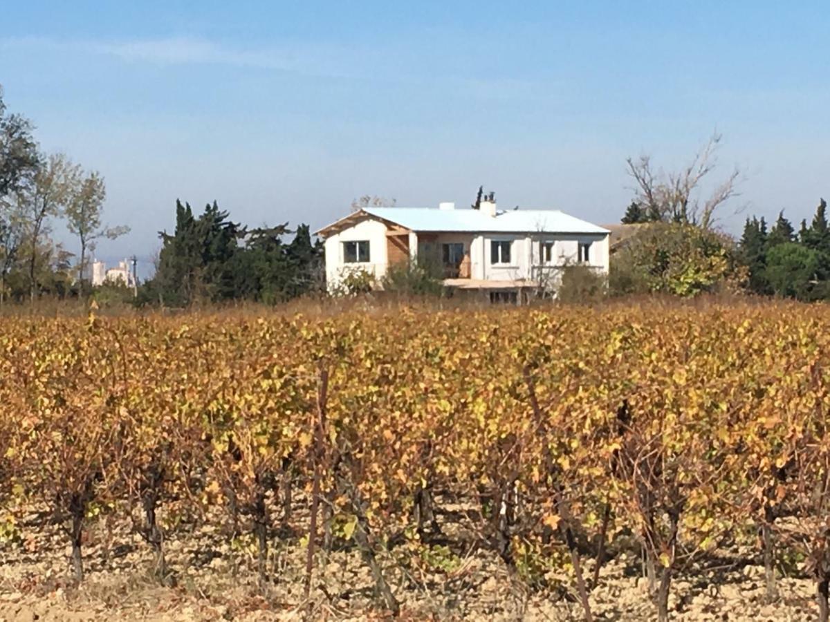 Domaine Limouzy Villa Narbonne Kültér fotó